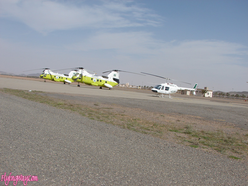 Hail city desert rally raising cars