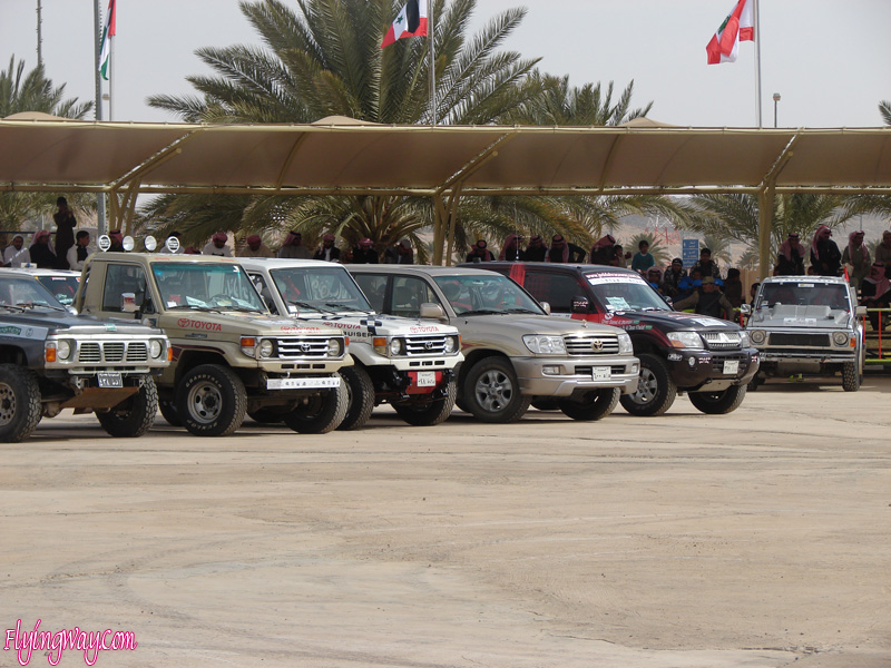 Hail city desert rally raising cars