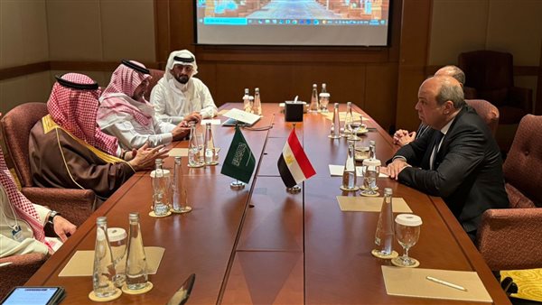 رئيس الطيران المدني المصري والسعودي يبحثان تعزيز التعاون المشترك